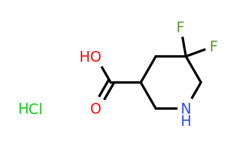 CAS 1356339-09-7 | 5,5-difluoropiperidine-3-carboxylic acid;hydrochloride