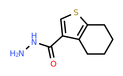 CAS 135840-47-0 | 4,5,6,7-Tetrahydrobenzo[b]thiophene-3-carbohydrazide