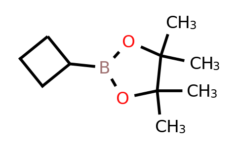 CAS 1360914-08-4 | 2-cyclobutyl-4,4,5,5-tetramethyl-1,3,2-dioxaborolane