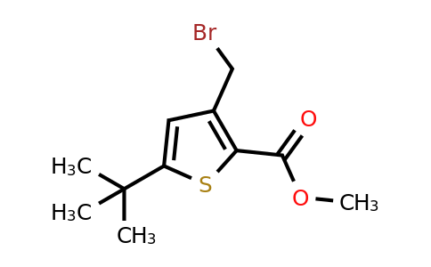 CAS 1361386-46-0 | methyl 3-(bromomethyl)-5-(tert-butyl)thiophene-2-carboxylate