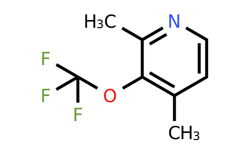 CAS 1361881-97-1 | 2,4-dimethyl-3-(trifluoromethoxy)pyridine
