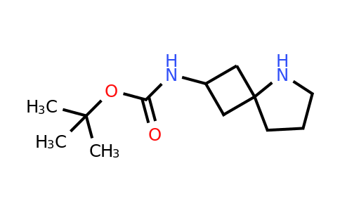 CAS 1363381-16-1 | tert-butyl N-{5-azaspiro[3.4]octan-2-yl}carbamate