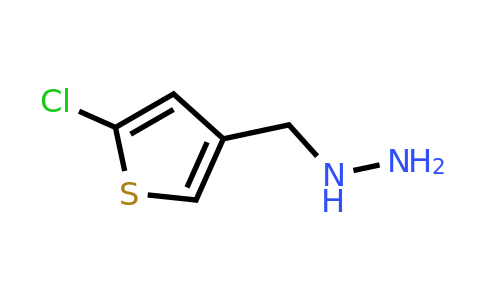 CAS 1363381-97-8 | [(5-chlorothiophen-3-yl)methyl]hydrazine