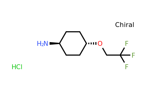 CAS 1366664-48-3 | trans-4-(2,2,2-Trifluoro-ethoxy)-cyclohexylamine hydrochloride