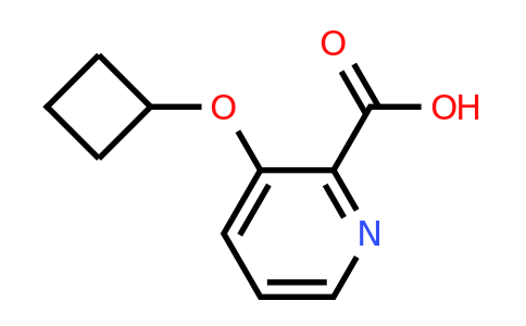 CAS 1366665-04-4 | 3-Cyclobutoxypicolinic acid