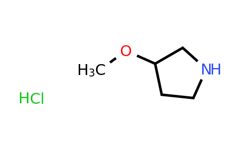 CAS 136725-50-3 | 3-methoxypyrrolidine hydrochloride