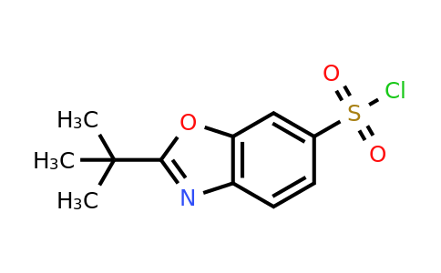 CAS 1367922-29-9 | 2-(tert-Butyl)benzo[d]oxazole-6-sulfonyl chloride