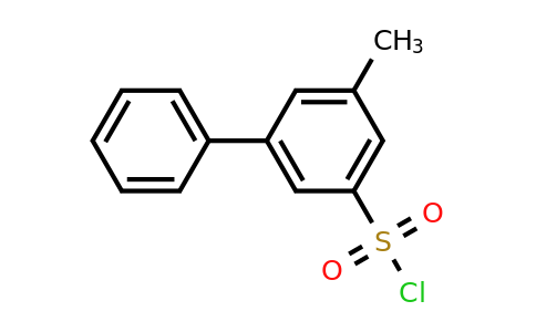 CAS 1368560-75-1 | 3-methyl-5-phenylbenzene-1-sulfonyl chloride