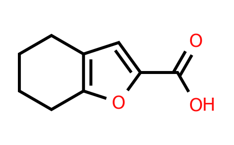 CAS 1369138-08-8 | 4,5,6,7-Tetrahydrobenzofuran-2-carboxylic acid