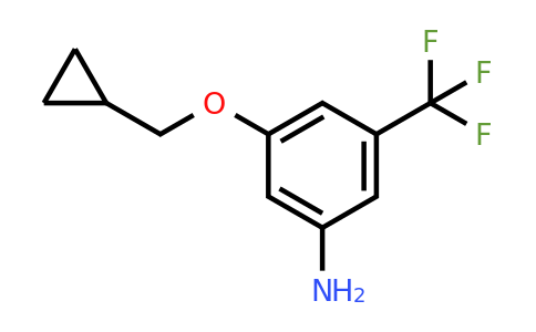 CAS 1369821-28-2 | 3-(Cyclopropylmethoxy)-5-(trifluoromethyl)aniline