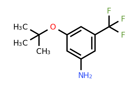 CAS 1369841-47-3 | 3-(tert-Butoxy)-5-(trifluoromethyl)aniline