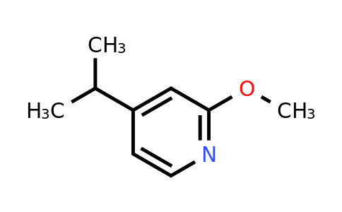 CAS 1370633-62-7 | 4-Isopropyl-2-methoxypyridine