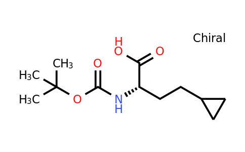 CAS 1372404-84-6 | (2S)-2-(tert-butoxycarbonylamino)-4-cyclopropyl-butanoic acid
