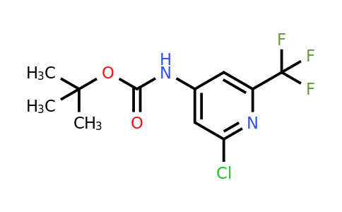 CAS 1373223-18-7 | (2-Chloro-6-trifluoromethyl-pyridin-4-yl)-carbamic acid tert-butyl ester