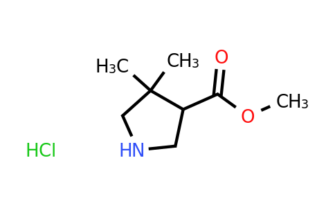 CAS 1373223-42-7 | methyl 4,4-dimethylpyrrolidine-3-carboxylate hydrochloride
