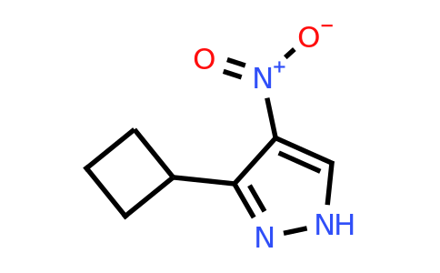 CAS 1374830-12-2 | 3-cyclobutyl-4-nitro-1H-pyrazole