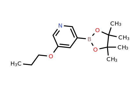 CAS 1375301-82-8 | 3-Propoxy-5-(4,4,5,5-tetramethyl-1,3,2-dioxaborolan-2-YL)pyridine