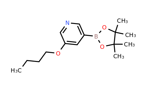 CAS 1375301-83-9 | 3-Butoxy-5-(4,4,5,5-tetramethyl-1,3,2-dioxaborolan-2-YL)pyridine
