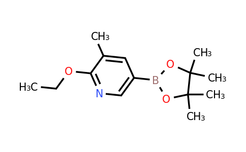CAS 1375303-03-9 | 2-Ethoxy-3-methyl-5-(4,4,5,5-tetramethyl-1,3,2-dioxaborolan-2-YL)pyridine