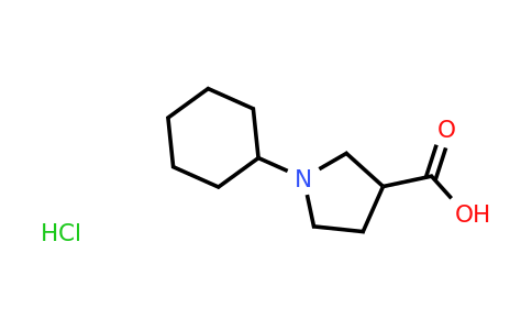 CAS 1375474-24-0 | 1-Cyclohexylpyrrolidine-3-carboxylic acid hydrochloride