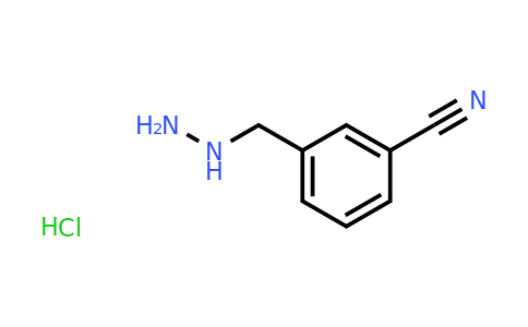 CAS 1375474-54-6 | 3-(Hydrazinylmethyl)benzonitrile hydrochloride