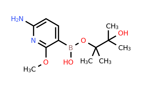 CAS 1375708-04-5 | 3-hydroxy-2,3-dimethylbutan-2-yl hydrogen (6-amino-2-methoxypyridin-3-yl)boronate