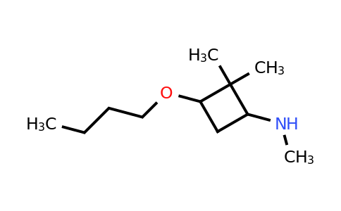 CAS 1375794-79-8 | 3-butoxy-N,2,2-trimethylcyclobutan-1-amine