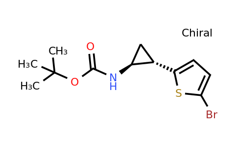 CAS 1379466-13-3 | tert-butyl N-[trans-2-(5-bromo-2-thienyl)cyclopropyl]carbamate
