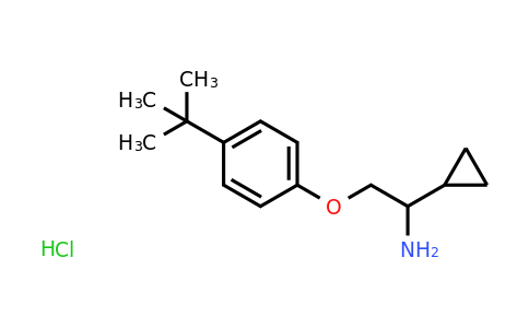 CAS 1379811-73-0 | 2-(4-(tert-Butyl)phenoxy)-1-cyclopropylethanamine hydrochloride