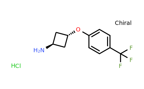 CAS 1380279-81-1 | cyclobutanamine, 3-(4-trifluoromethylphenoxy)-, hydrochloride (1:1), trans-