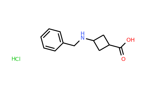 CAS 1381948-14-6 | 3-(Benzylamino)cyclobutanecarboxylic acid hydrochloride