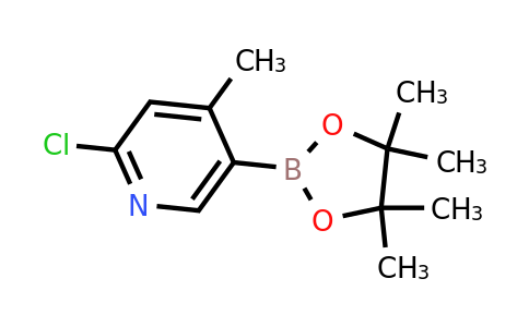 CAS 1382851-54-8 | 2-Chloro-4-methyl-5-(4,4,5,5-tetramethyl-1,3,2-dioxaborolan-2-YL)pyridine