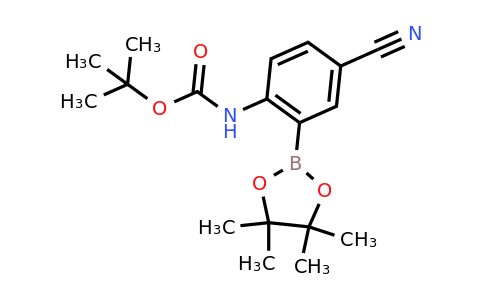 CAS 1384313-04-5 | [4-Cyano-2-(4,4,5,5-tetramethyl-[1,3,2]dioxaborolan-2-yl)-phenyl]-carbamic acid tert-butyl ester