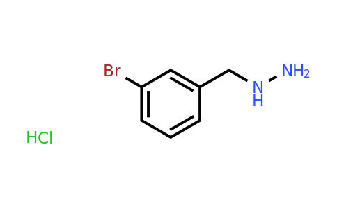 CAS 1384427-52-4 | [(3-Bromophenyl)methyl]hydrazine hydrochloride