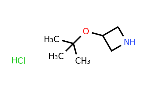 CAS 1384429-32-6 | 3-(tert-Butoxy)azetidine hydrochloride