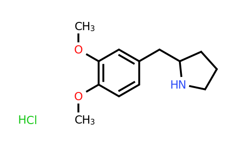 CAS 1384430-02-7 | 2-[(3,4-dimethoxyphenyl)methyl]pyrrolidine hydrochloride