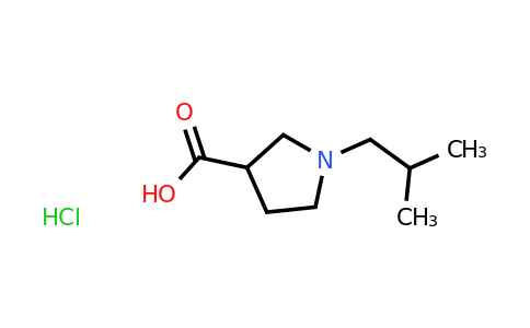 CAS 1384805-69-9 | 1-(2-methylpropyl)pyrrolidine-3-carboxylic acid hydrochloride