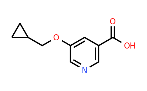CAS 1385696-61-6 | 5-(Cyclopropylmethoxy)nicotinic acid
