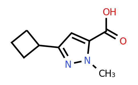 CAS 1392516-19-6 | 3-cyclobutyl-1-methyl-1H-pyrazole-5-carboxylic acid