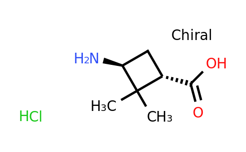 CAS 1392803-36-9 | trans-3-amino-2,2-dimethylcyclobutanecarboxylic acid hydrochloride