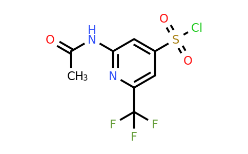 CAS 1393534-08-1 | 2-(Acetylamino)-6-(trifluoromethyl)pyridine-4-sulfonyl chloride