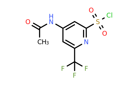 CAS 1393545-15-7 | 4-(Acetylamino)-6-(trifluoromethyl)pyridine-2-sulfonyl chloride