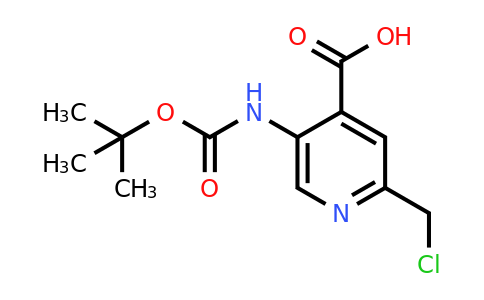 CAS 1393558-88-7 | 5-[(Tert-butoxycarbonyl)amino]-2-(chloromethyl)isonicotinic acid