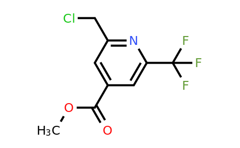 CAS 1393560-74-1 | Methyl 2-(chloromethyl)-6-(trifluoromethyl)isonicotinate