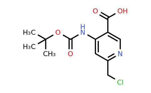 CAS 1393573-10-8 | 4-[(Tert-butoxycarbonyl)amino]-6-(chloromethyl)nicotinic acid