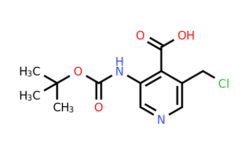 CAS 1393584-40-1 | 3-[(Tert-butoxycarbonyl)amino]-5-(chloromethyl)isonicotinic acid