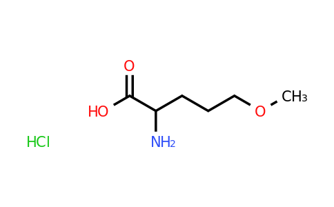 CAS 1394040-04-0 | 2-amino-5-methoxypentanoic acid hydrochloride