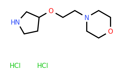 CAS 1394040-42-6 | 4-[2-(pyrrolidin-3-yloxy)ethyl]morpholine dihydrochloride