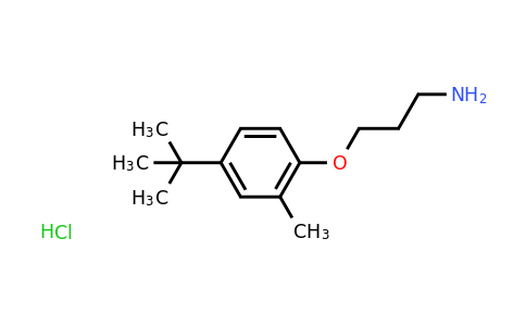 CAS 1394042-07-9 | 3-(4-tert-butyl-2-methylphenoxy)propan-1-amine hydrochloride