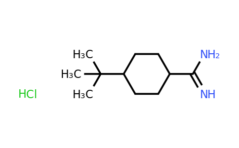 CAS 1394042-19-3 | 4-tert-butylcyclohexane-1-carboximidamide hydrochloride